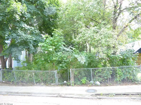 7019 Elton Ave, Cleveland, OH 44102