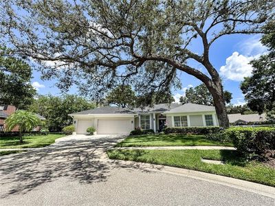 11501 Norval Pl, Temple Terrace, FL, 33617