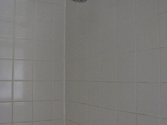 5th image of 3S551 Haylett Ave