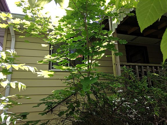 IMG_20190608_112903 (1)