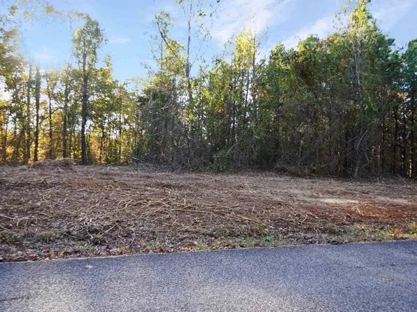 22 Cottrell Ridge Rd, Dover, TN 37058