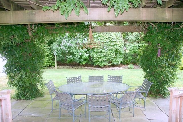  Outdor Dining under the Pergola