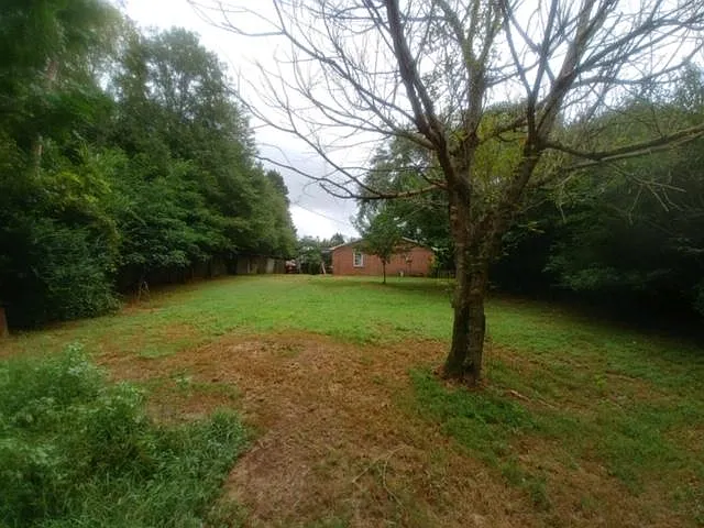 1 bed, 646 sqft, $1,050 — Photo 4