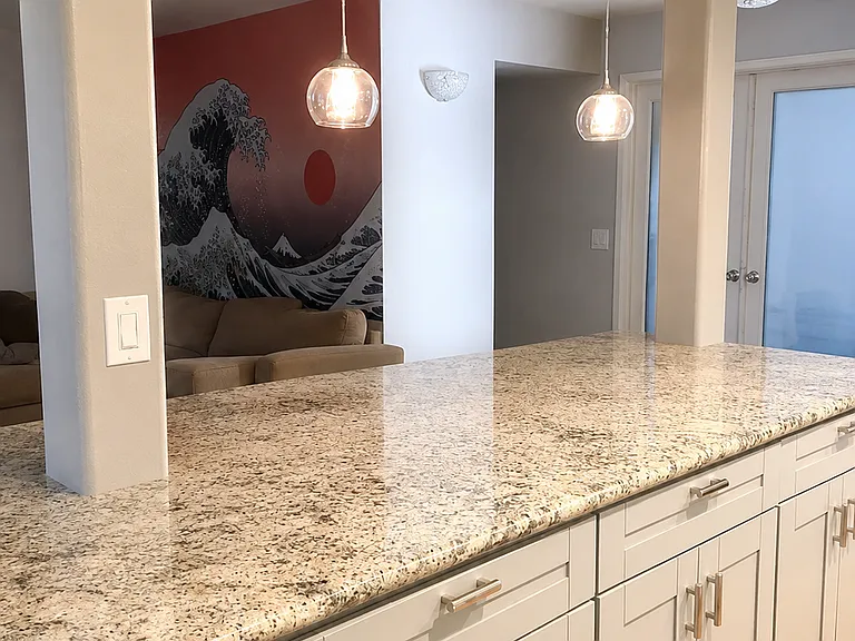 4817 Bella Pacific Row — Photo 5