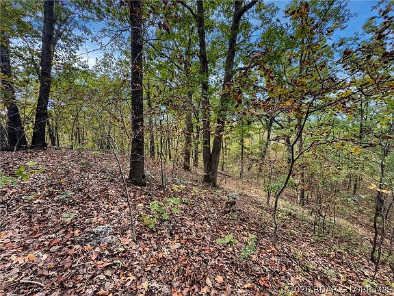 4th image of Tbd Tranquil Woods Rd