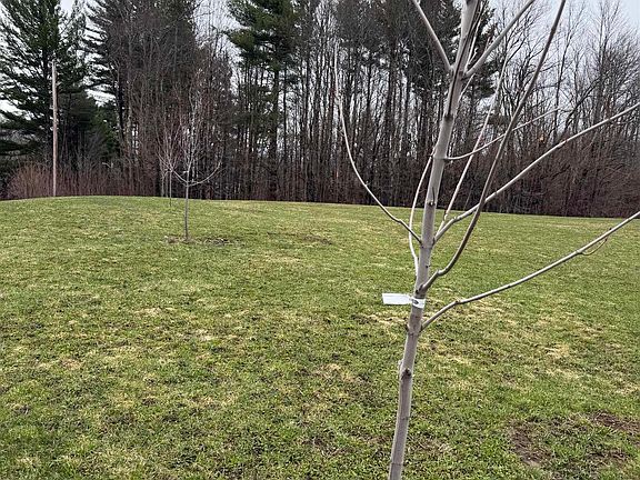 2nd image of 315 North Hill Road