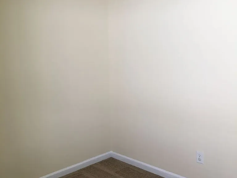 1037 Rabon Pond Dr — Photo 10