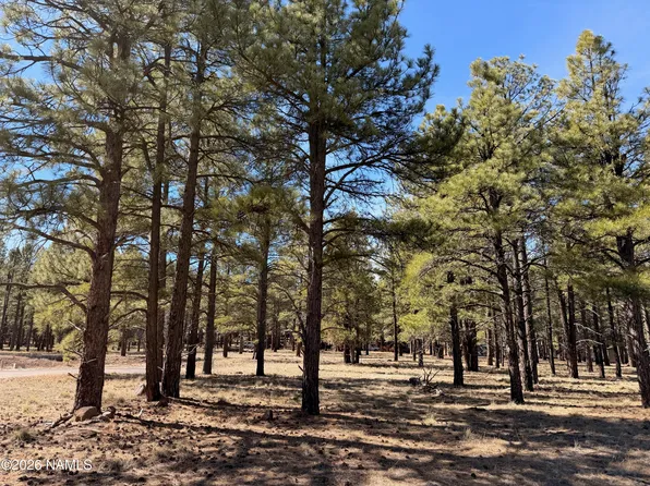 3210 W Northwood Ct, Williams, AZ 86046