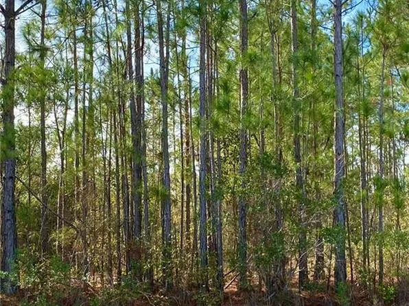 0 Sinclair Rd, Patterson, GA 31557