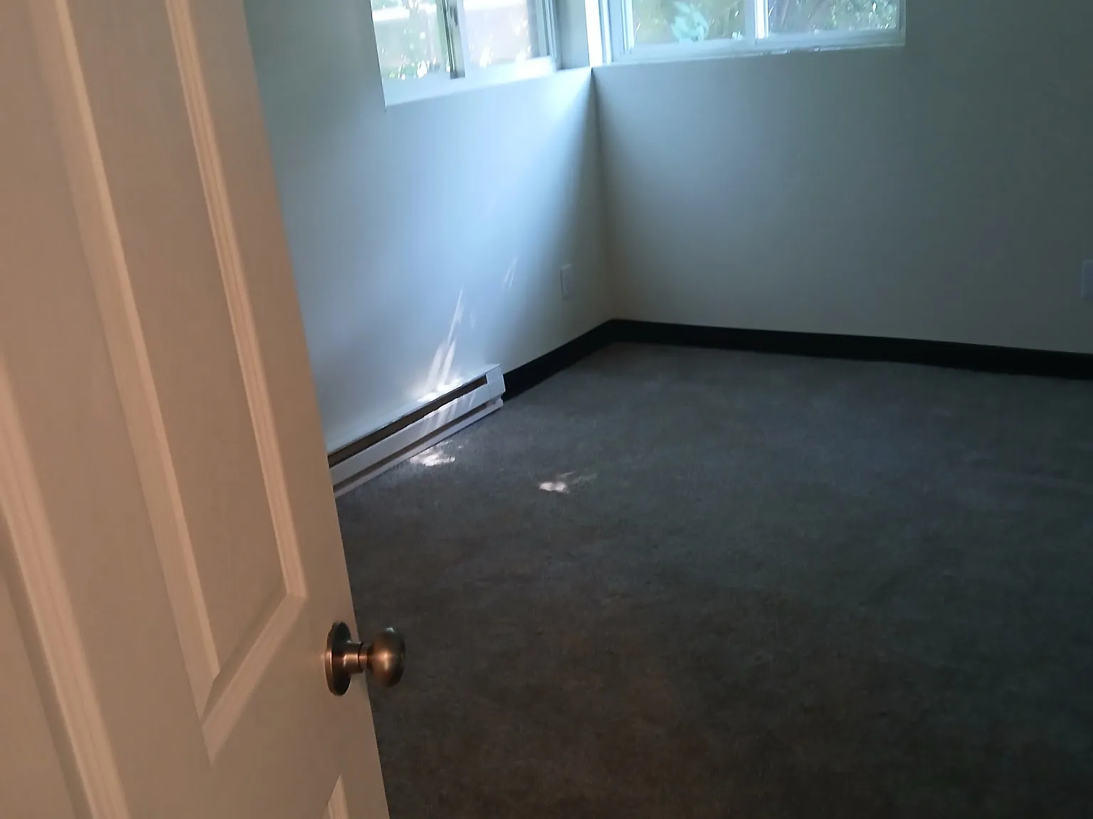 1 bed, $850 — Photo 3