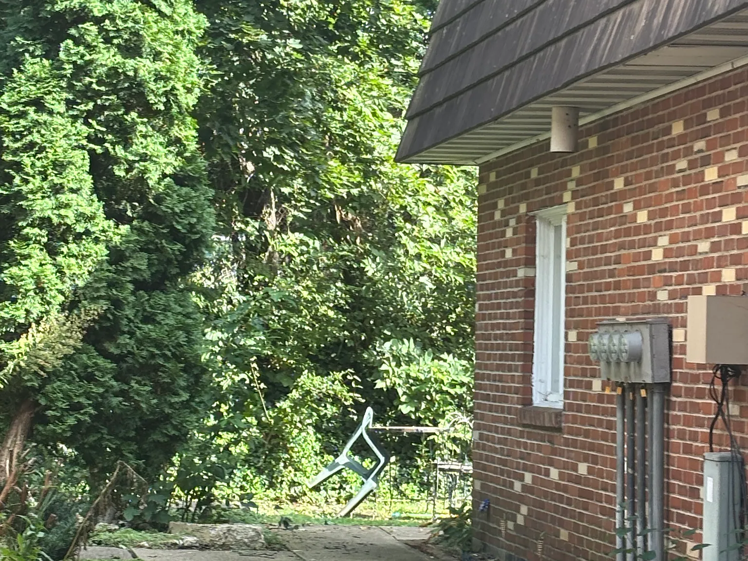1 bed, 800 sqft, $975 — Photo 3