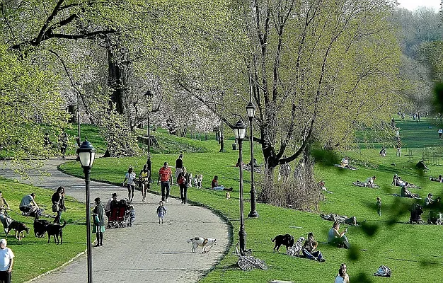 Rented by Leasing Management LLC | media 19