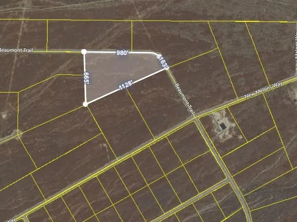 12750 Ruby Lake Trl, Lovelock, NV 89419