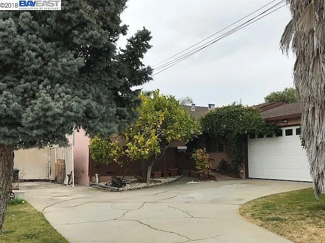 359 Martin Ave photo 1