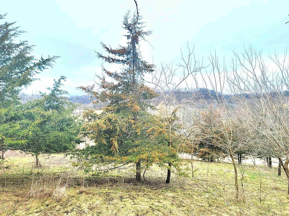 1st image of 11 Sugarcreek Trl
