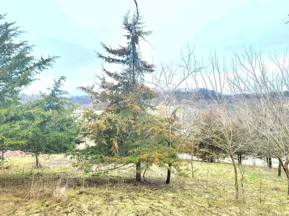 11 Sugarcreek Trl, Galena, IL 61036