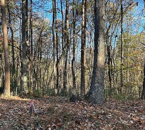 2nd image of 440 Ridge Rd