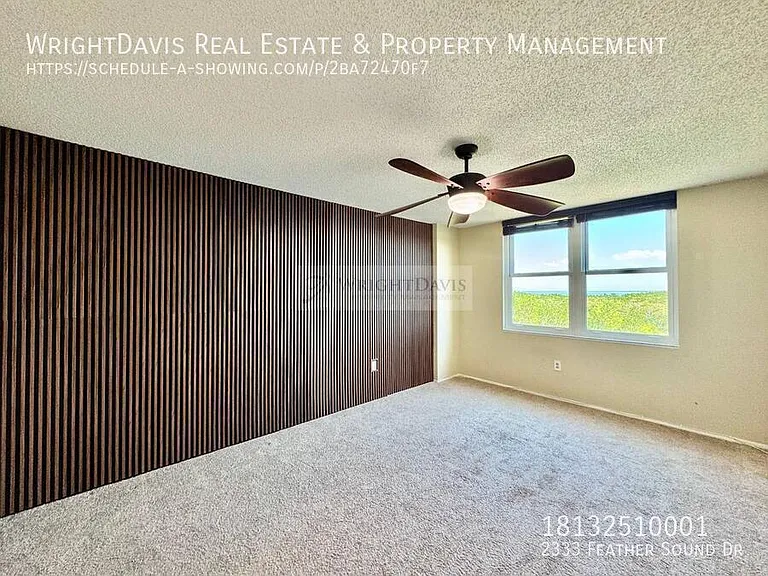 2333 Feather Sound Dr — Photo 11