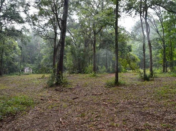 230 W Duckpond Dr, Greenville, FL 32331