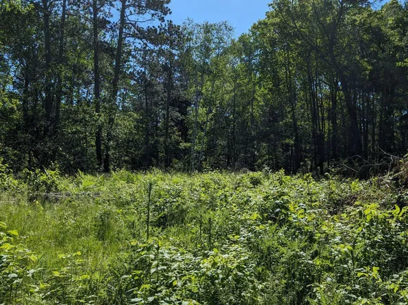 31 Wildwood Ln, Pequot Lakes, MN 56472