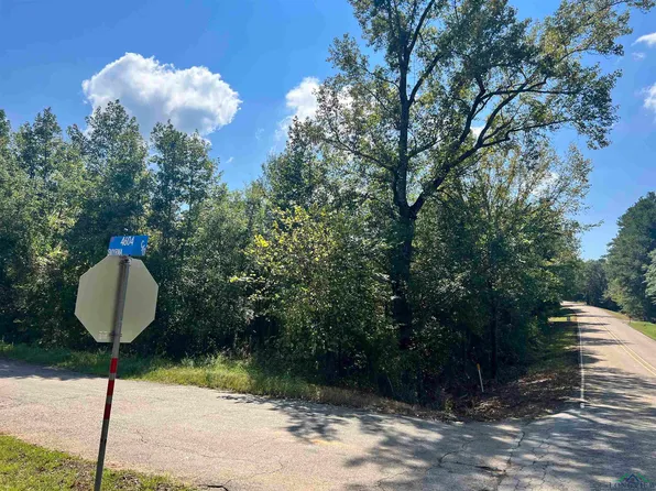 18484 Fm 450 N, Diana, TX 75640