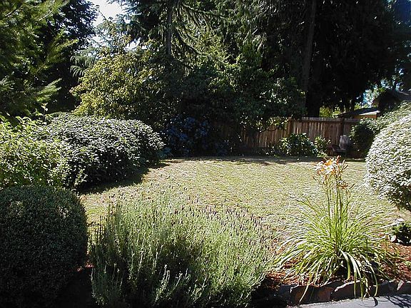 Large landscaped front yard