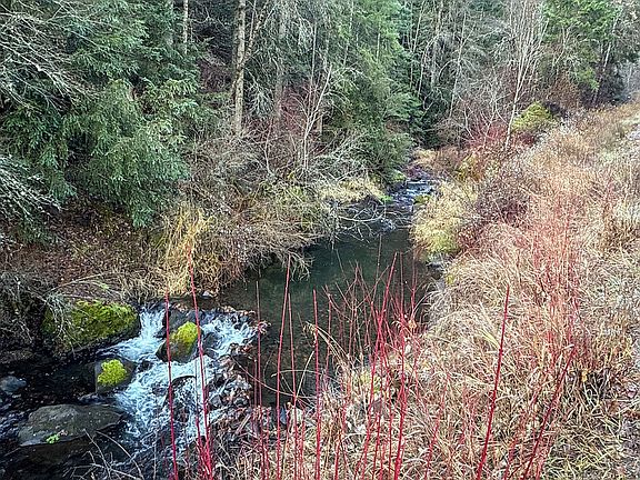 4th image of Deer Creek Rd