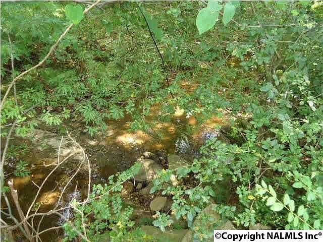 2nd image of 1 Grigsby Rd
