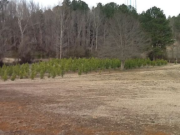 5th image of 40 County Road 5123