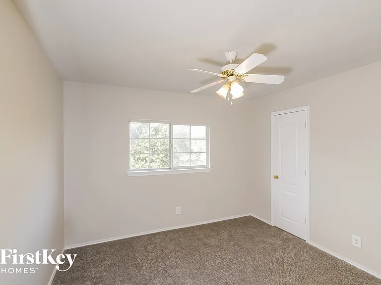 7504 Forest Fern — Photo 12