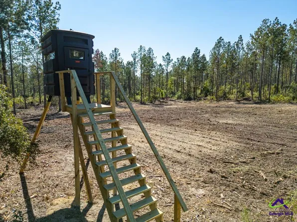 Ohp Dominy Rd, Toomsboro, GA 31090