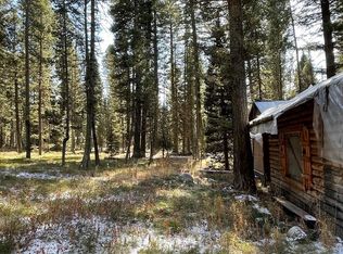 2771 SW Sagehen Dr, Island Park, ID 83429
