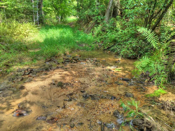 Chestnut Gap Ln, Blue Ridge, GA 30513