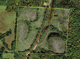 0 Dewitts Run Rd, Long Bottom, OH 45743