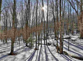 LOT 10 Old Log Rd LOT 10-088, Stockbridge, VT 05772