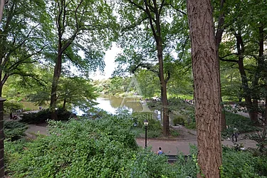 Rented by Peter Ashe