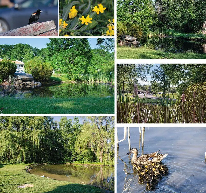Oakbrook Manor Apartments — Photo 4