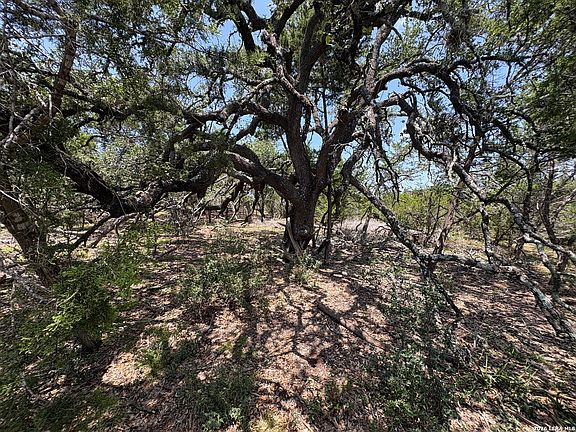 3rd image of 564 (LOT 2000) Rock Trail Place LOT 2000