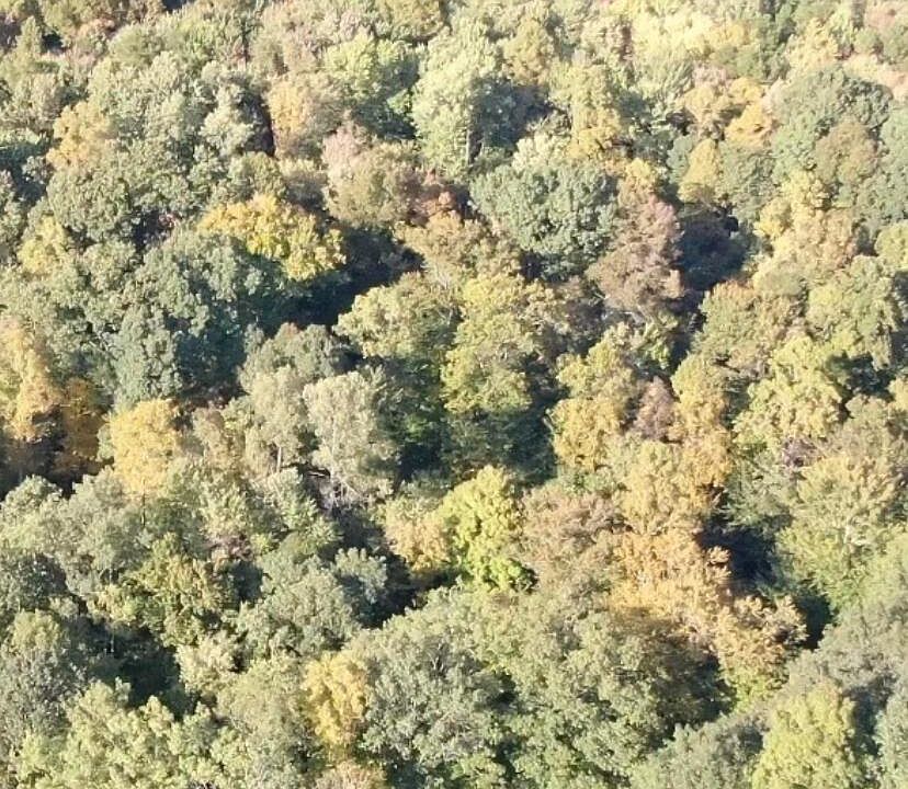 2nd image of 6080 S County Road 43