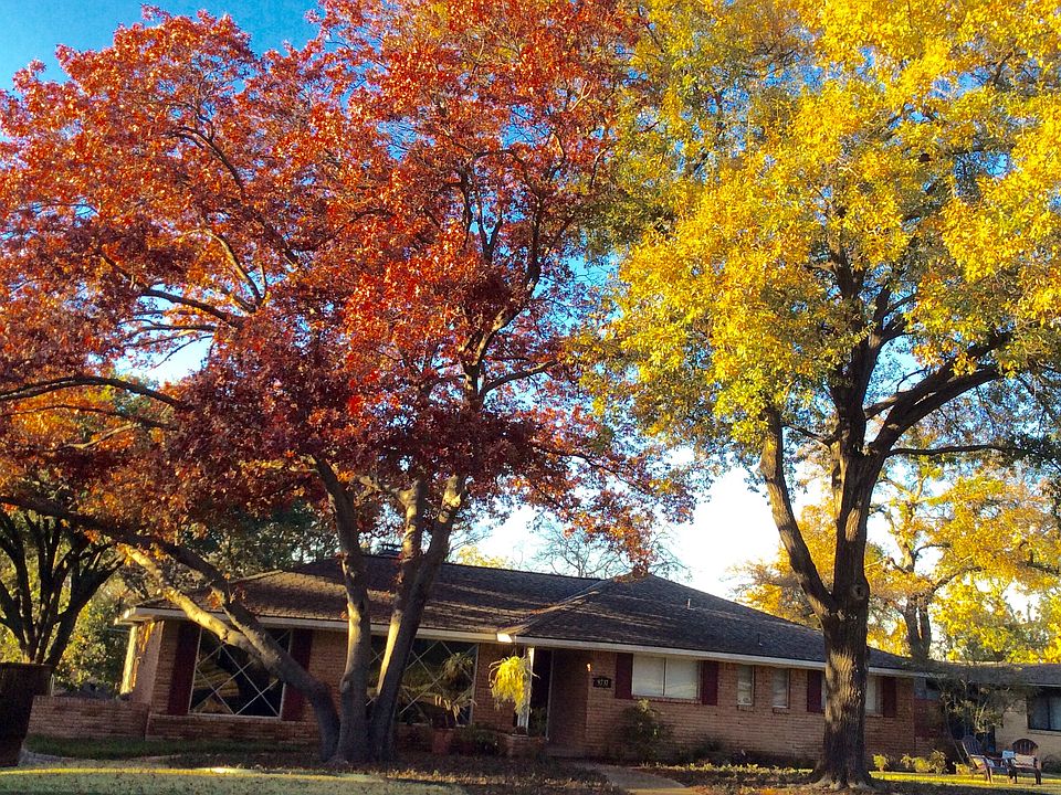1st image of 9737 Wisterwood Dr
