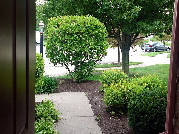 3rd image of 6141 Stone Mill Ct