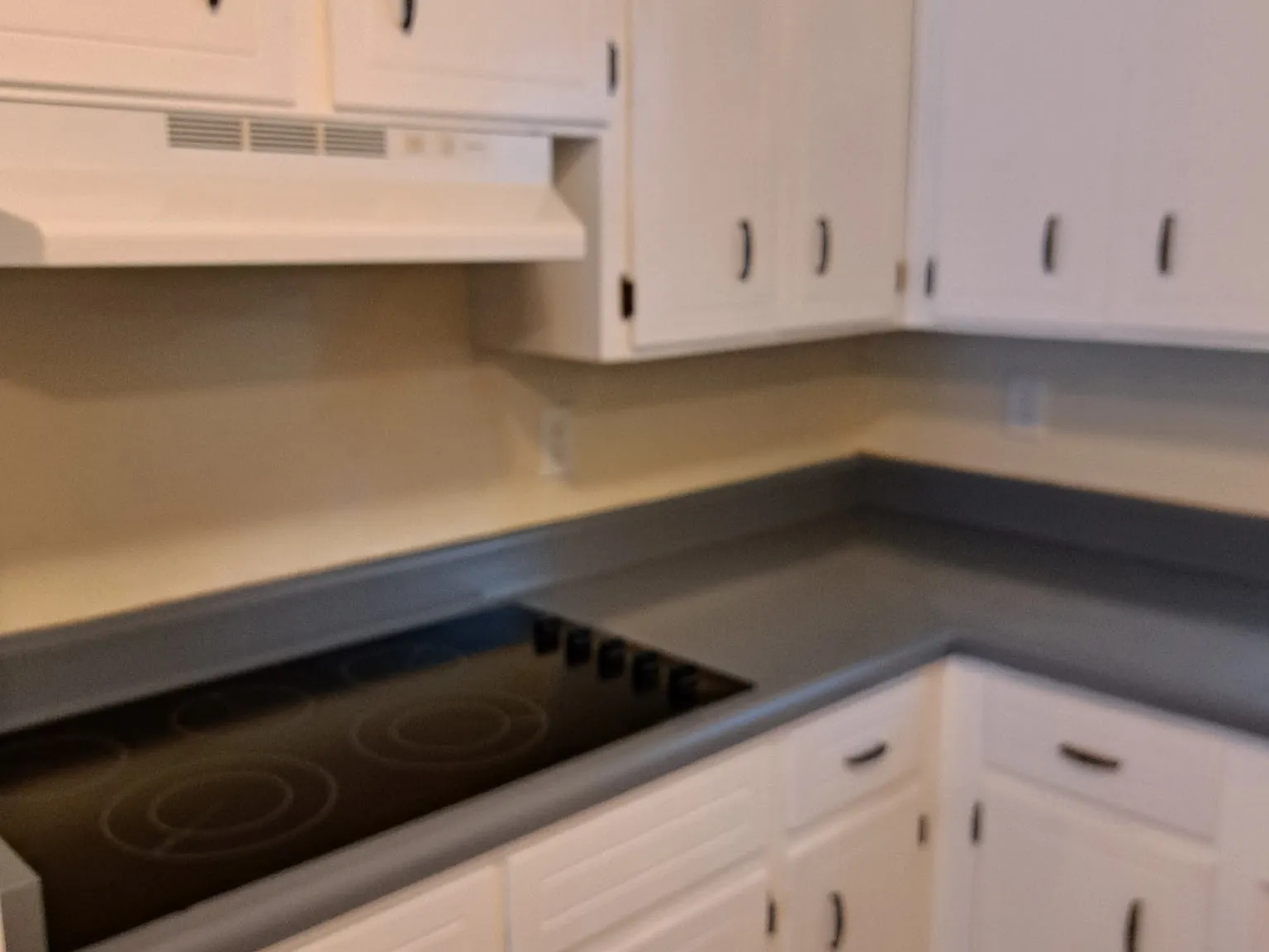 2 bed, 1.5 bath, 1000 sqft, $1,250 — Photo 2