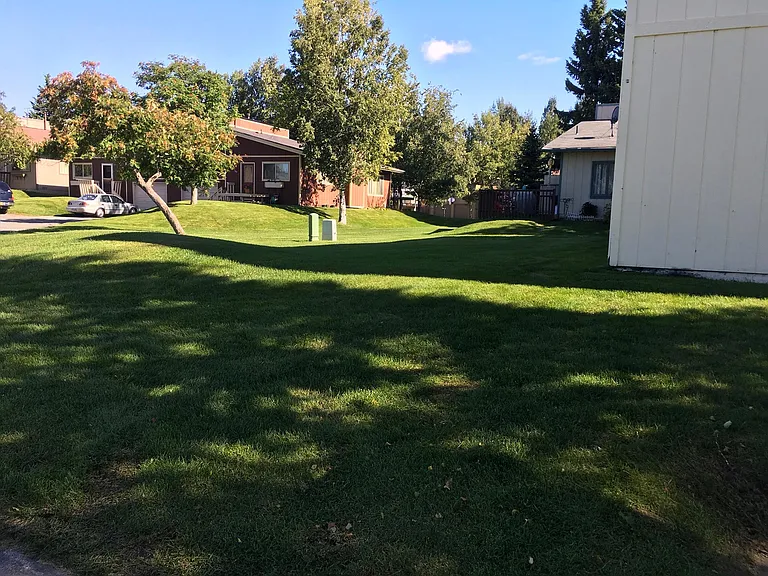 253 Fawn Ct — Photo 23