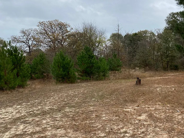23632 Interstate Highway 20 — Photo 12
