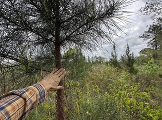 6103 W High Way #55, Red Level, AL 36474