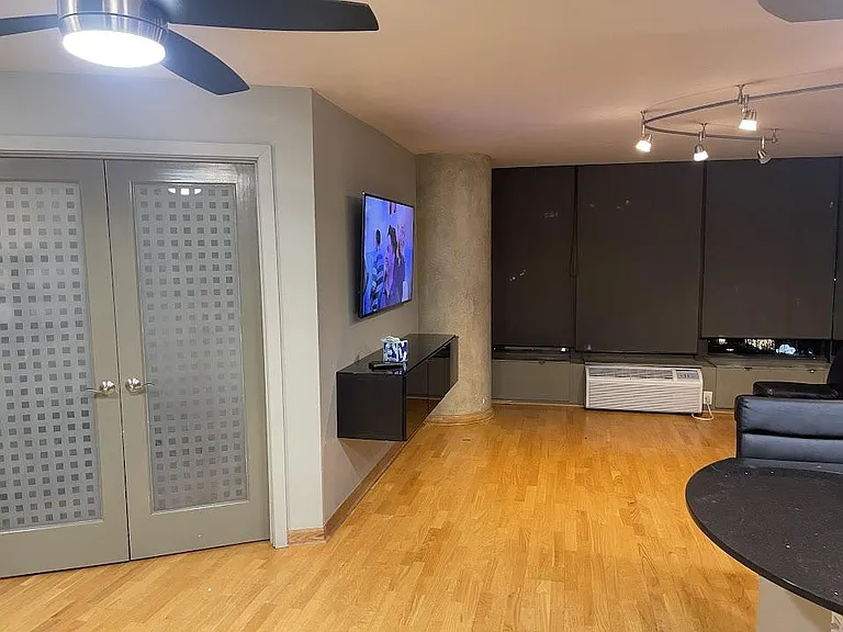 505 N Lake Shore Dr #1005 — Photo 9
