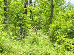 Bradley Lake Rd, Crandon, WI 54520