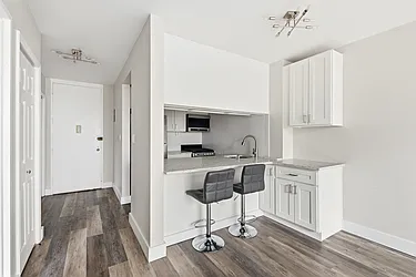 300 Albany Street, #4E