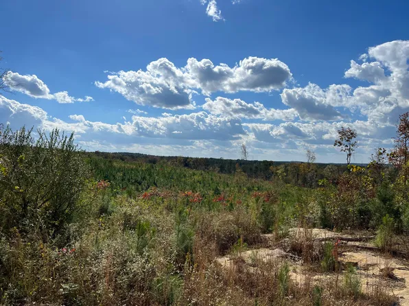 0 County Road 684, Flat Rock, AL 35966