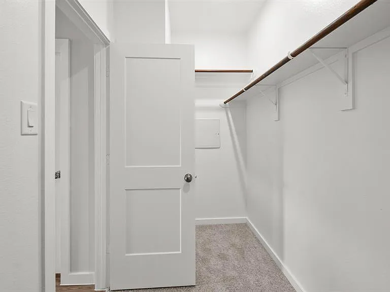 25207 Leather Leaf Ct — Photo 15